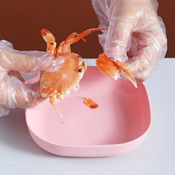 food grade plastic household dining plates | 10 pcs multi function elliptical spit bone plate set